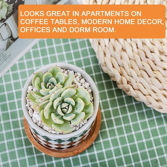 3 Inch Geometric Succulent Planter Pots with Drainage and Bamboo Tray - Picture 10 of 11